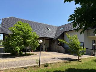 Villa Stone 1 - Rakovica - 9