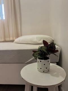 Apartamento aconchegante à 200m da praia - Vitória - Vitória - 7