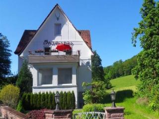 Spacious apartment in Weser Uplands with garden - Bad Pyrmont - 4