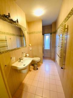 Villa FOREST - Posen - 9