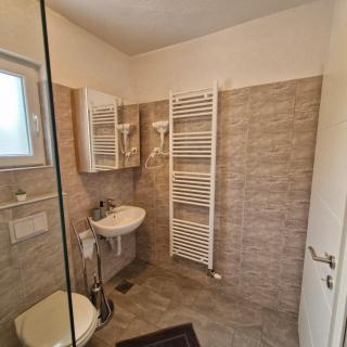 Villa Natasa near Plitvice for 15 persons - Vrhovine - 4