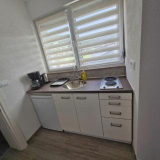 Villa Natasa near Plitvice for 15 persons - Vrhovine - 1