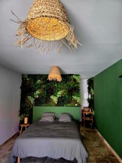 Jacuzzi & Jardin privé - Suite Tropicale - 7