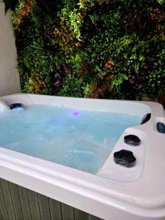 Jacuzzi & Jardin privé - Suite Tropicale - 9