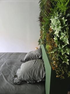 Jacuzzi & Jardin privé - Suite Tropicale - Port-Saint-Louis-du-Rhône - 6