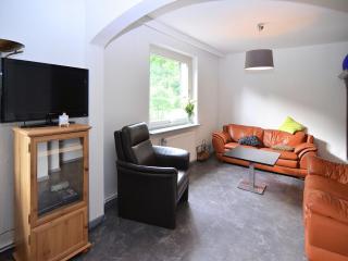 Spacious group house in the Harz region - Zorge - 0