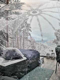 Glassigloo med panoramautsikt - Nordlys og stjernehimmel - Fosen - 8