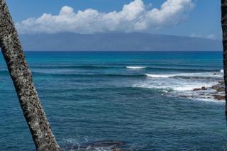 Spectacular Oceanfront Home - Honu Hale - 3