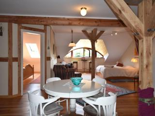 Rustic-style Apartment in Buschenhagen with Garden - Buschenhagen - 4
