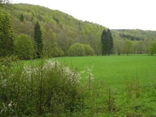 Hill-view Holiday Home in Dankerode near Lake and Hiking - Dankerode - 4