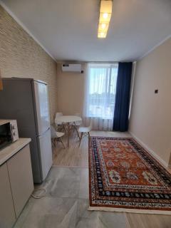Altynai Apartment - Almaty - 4