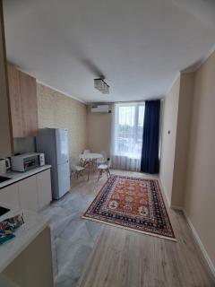 Altynai Apartment - Almaty - 1
