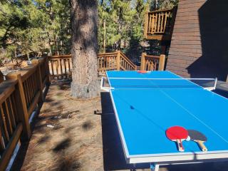 Relaxing Big Cub Cabin at Big Bear - Big Bear Lake - 6