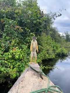 Muesumu Ecolodge - - 0