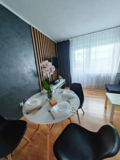 APARTAMENT CHEŁMSKO - rowery gratis - Chełmsko Śląskie - 6