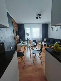 APARTAMENT CHEŁMSKO - rowery gratis - Chełmsko Śląskie - 5