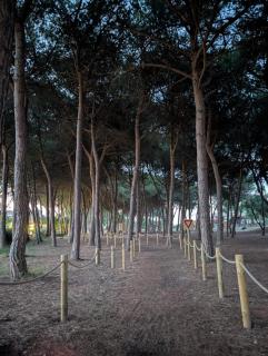 Casa vacanza - Villa Dalila - Silvi Paese - 6
