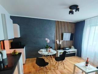 APARTAMENT CHEŁMSKO - rowery gratis - Chełmsko Śląskie - 9