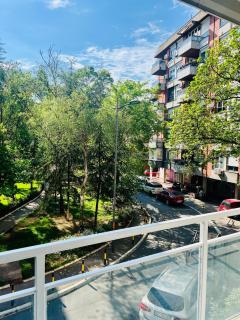 Luxury apartment in the heart of Vračar - 7