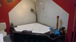 Gumtree on Gillies Bed and Breakfast - 2