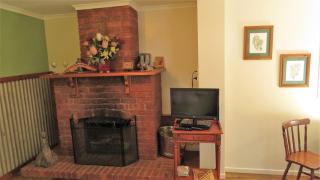Gumtree on Gillies Bed and Breakfast - Yungaburra - 7