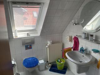 Nordseekrabbe Bollmann - Carolinensiel - 2
