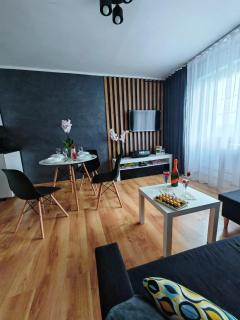 APARTAMENT CHEŁMSKO - rowery gratis - Chełmsko Śląskie - 0