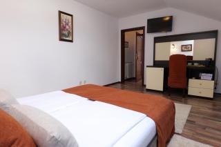 Vila Gardenia - Oradea - 5