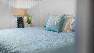 Isla Del Sol Rentals St Petersburg - Sint-Petersburg - 8