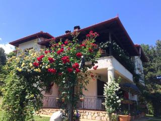 Koti Mountain House - Litochoro - 8