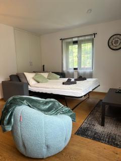 CapoBnB, Work&Chill Apartement, Wallis NH Zermatt, Lonza, Saas-Fee - 7