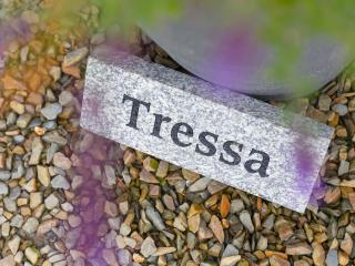 Tressa, Tor Down Quarry - 8