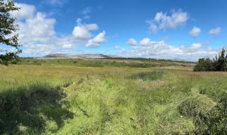 Detached house enjoying amazing views of Burren mountain - Tubber - 7