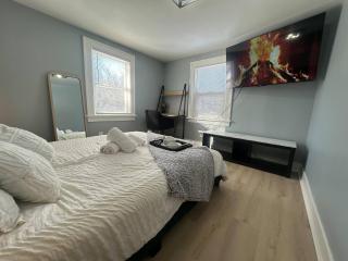 Exclusive 3 BR Modern House - Albany - 4