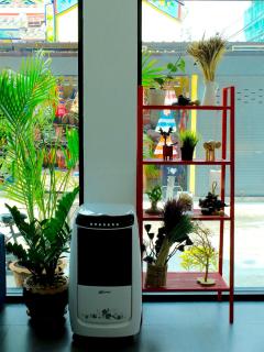 We Inn - Bangkok - 8