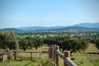 Herdade da Carapuça- Casa de Campo - Portalegre - 8