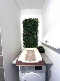 F3 Wabi-Sabi - Strasburgo - 4