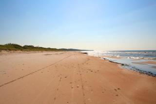 Baltic Pine - Jūrmala - 9