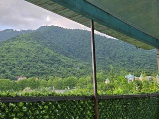 Heaven apartment - Gabala - 4