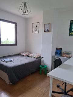 Pringy - Chambre L - Annecy - 3