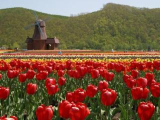 Hotel Okhotsk Palace - Vacation STAY 24138v - Mombetsu - 2