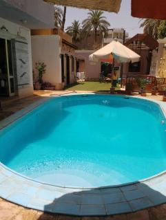 Sofia Guest House - Luxor - 9