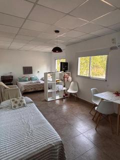 Soya Departamentos B - Junín - 5