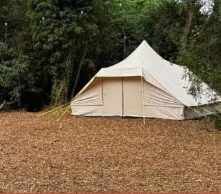 Little Brook Glamping - Salfords - 4
