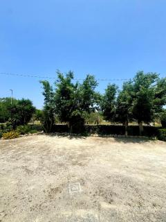 Residence LA RONDINE - 2