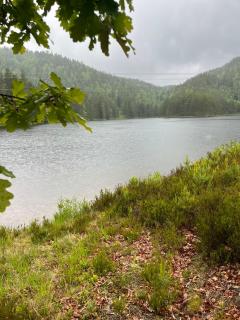 koselig gammel hytte ved vannet - Skien - 1