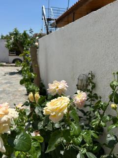 Vasilika House - Salamina - 2