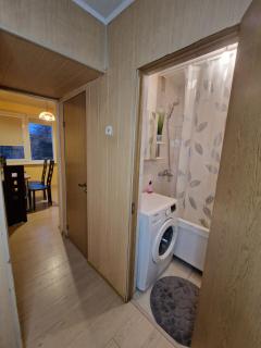 Pušų lašas apartamentai - Birštonas - 3