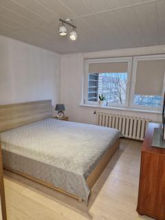 Pušų lašas apartamentai - Birštonas - 6