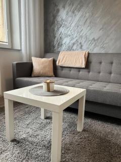 Luxusní apartmán v blízkosti centra města - Hradec Králové - 9